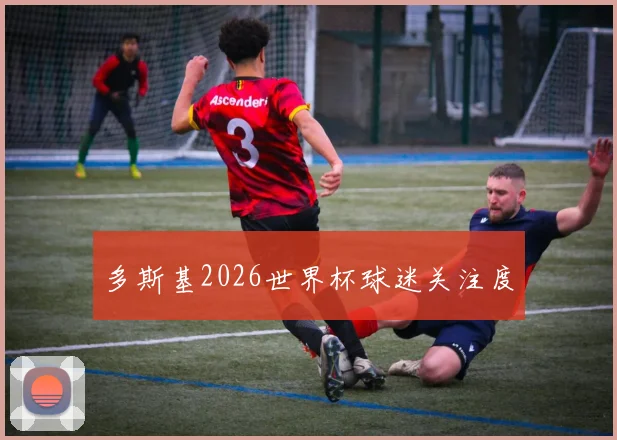 多斯基2026世界杯球迷关注度