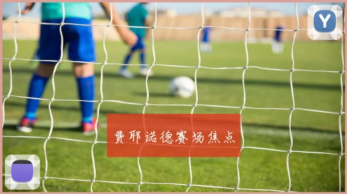 星空online(中国) - 费耶诺德赛场焦点