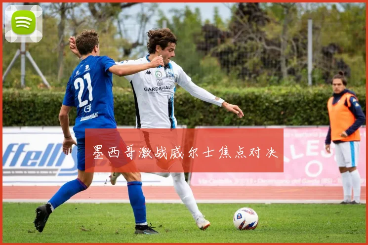星空online（中国） - 墨西哥激战威尔士焦点对决