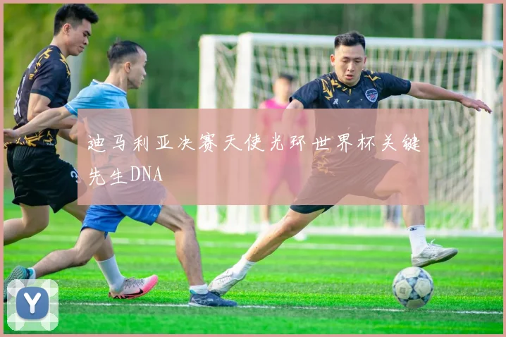 星空online（中国） - 迪马利亚决赛天使光环世界杯关键先生DNA