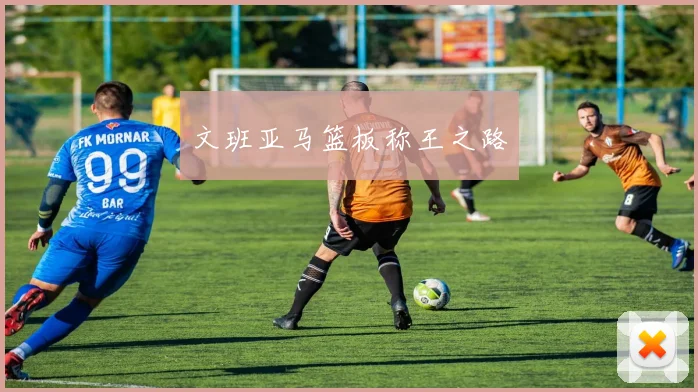 星空online（中国） - 文班亚马篮板称王之路
