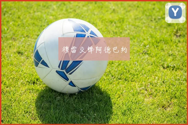 星空online（中国） - 穆雷交锋阿德巴约