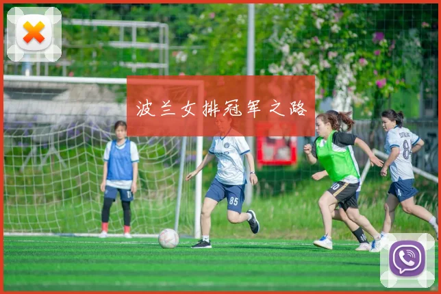 星空online（中国） - 波兰女排冠军之路