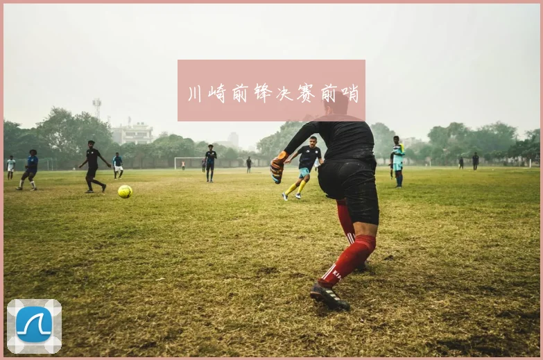 星空online（中国） - 川崎前锋决赛前哨
