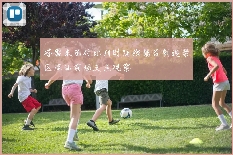 塔雷米面对比利时防线能否制造禁区混乱前场支点观察