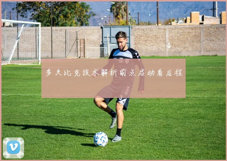 多夫比克技术解析前点启动看后程