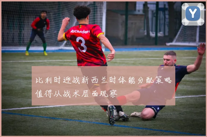 比利时迎战新西兰时体能分配策略值得从战术层面观察