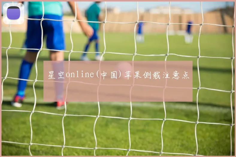 星空online(中国)苹果侧载注意点